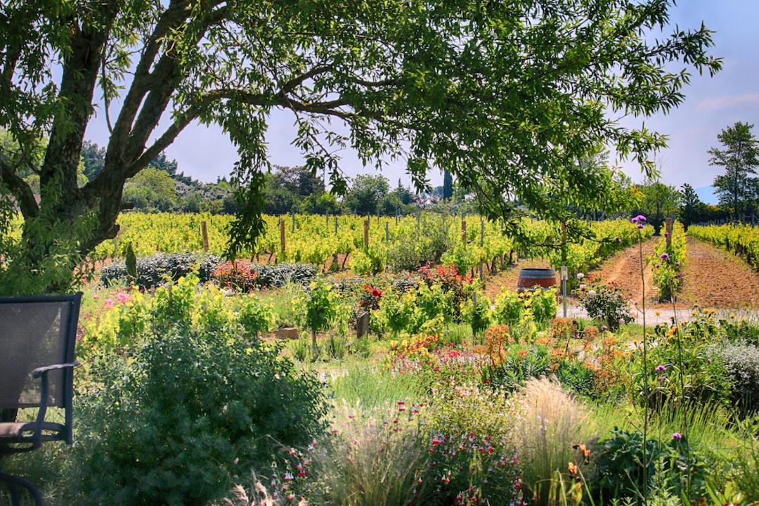 Villemoustaussou O'Vineyards B&B Carcassonne المظهر الخارجي الصورة
