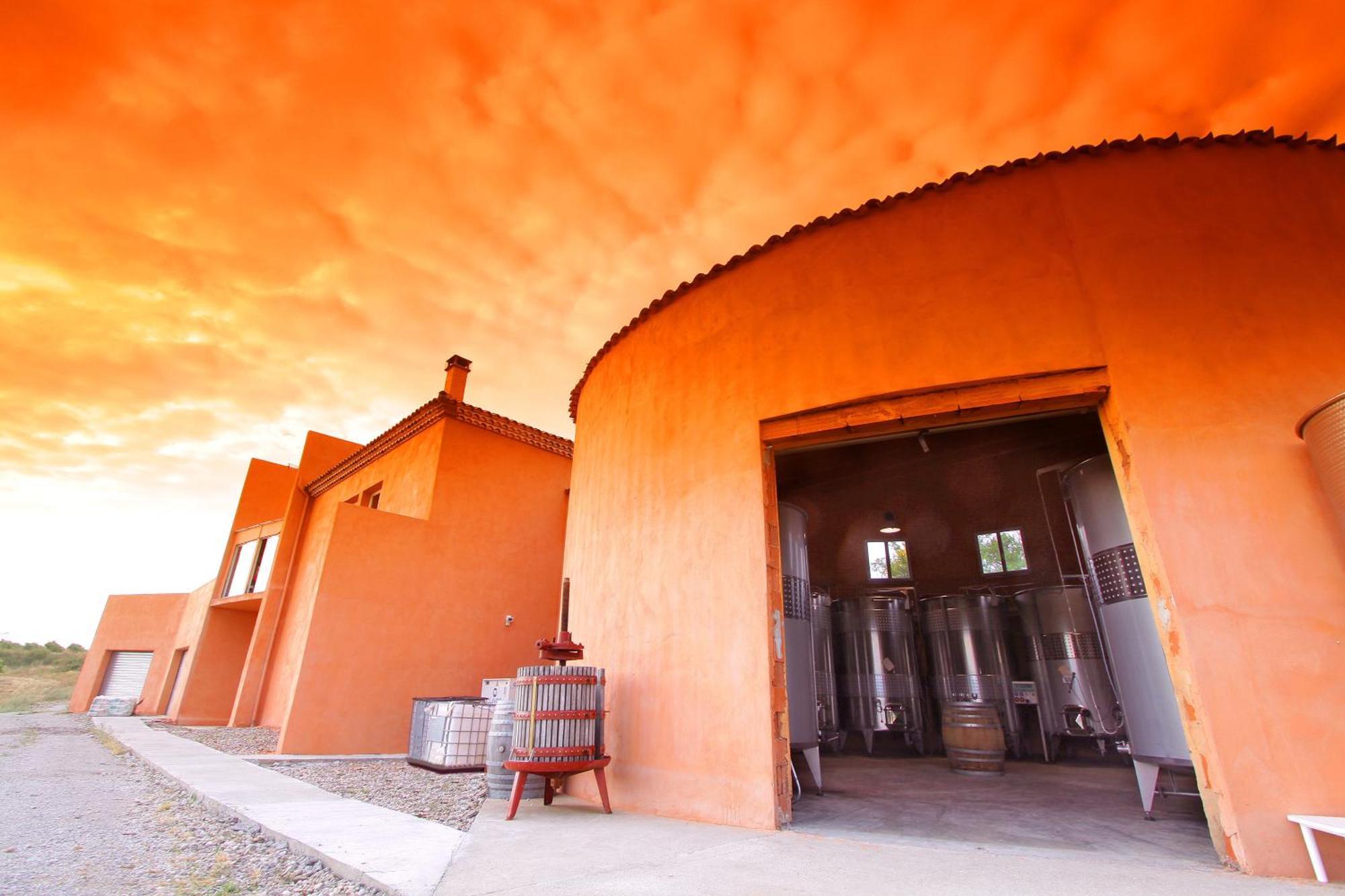Villemoustaussou O'Vineyards B&B Carcassonne المظهر الخارجي الصورة