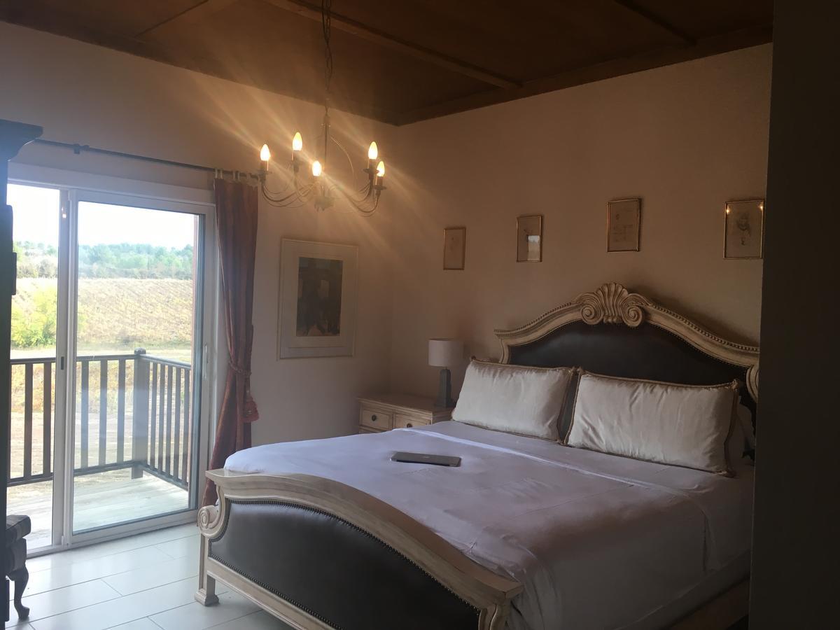 Villemoustaussou O'Vineyards B&B Carcassonne المظهر الخارجي الصورة