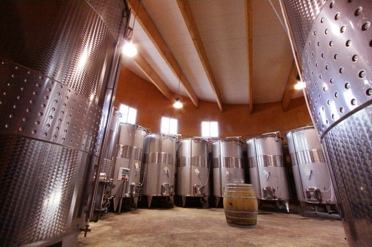 Villemoustaussou O'Vineyards B&B Carcassonne المظهر الخارجي الصورة