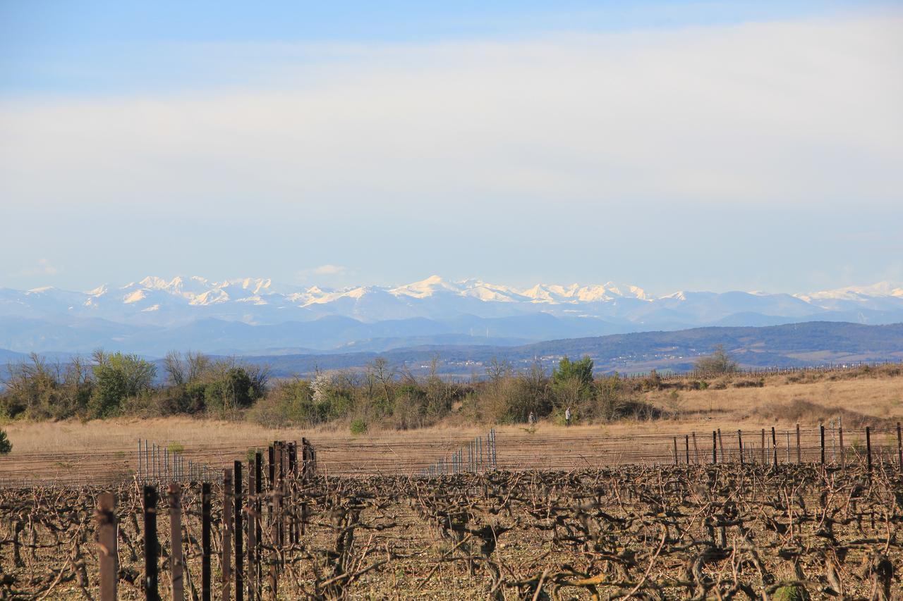 Villemoustaussou O'Vineyards B&B Carcassonne المظهر الخارجي الصورة